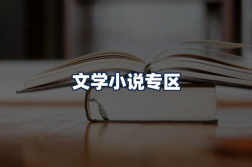 文学小说PDF展示